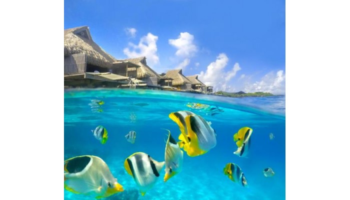 Conrad Bora Bora Nui (Ex Hilton Bora Bora Nui Resort And Spa) poza 17