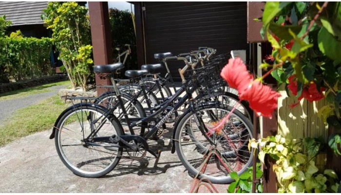 Hotel Kaveka poza 15