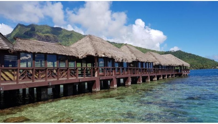 Hotel Kaveka poza 10