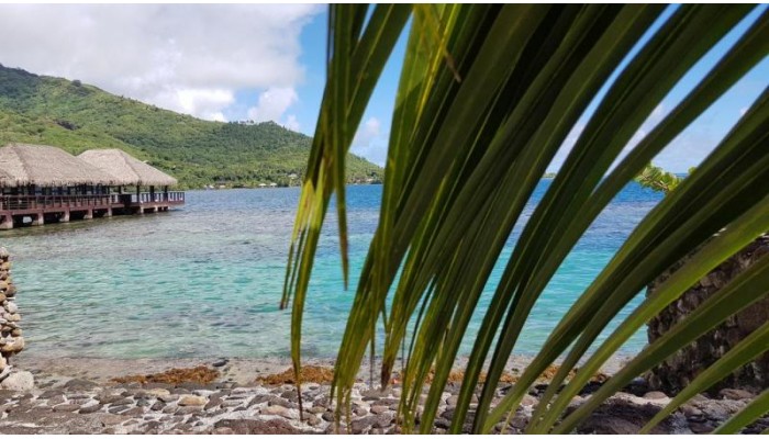 Hotel Kaveka poza 14