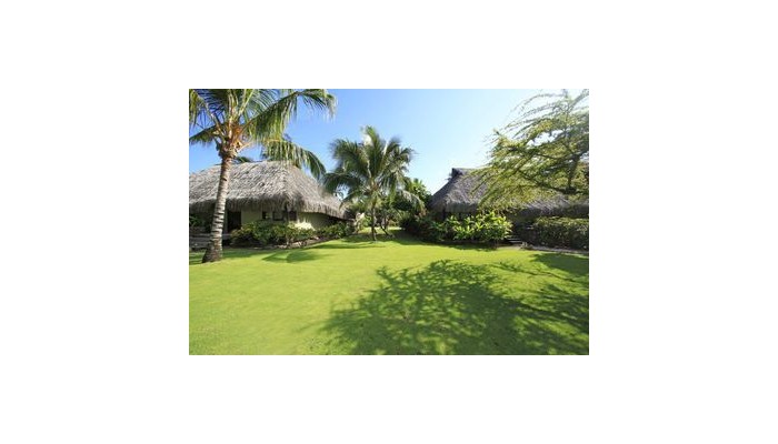 Hilton Moorea Lagoon Resort & poza 3