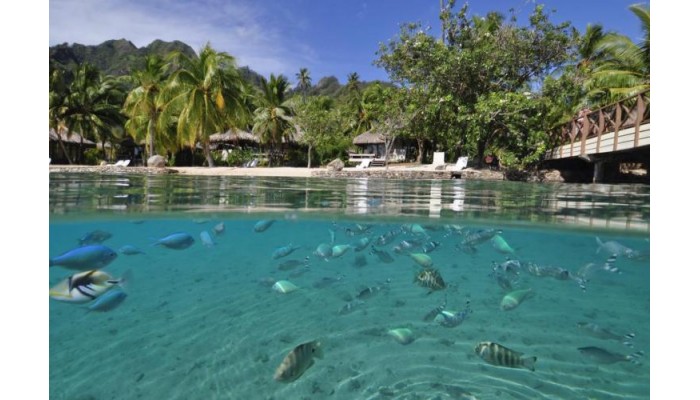Intercontinental Moorea Resort & Spa poza 6