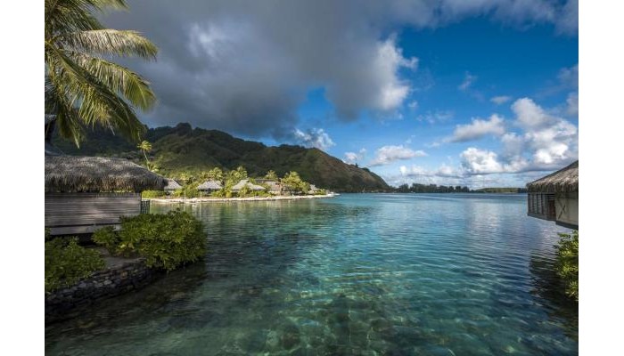 Hotel Intercontinental poza 3