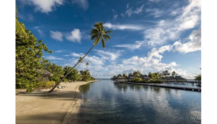 Hotel Intercontinental poza 0